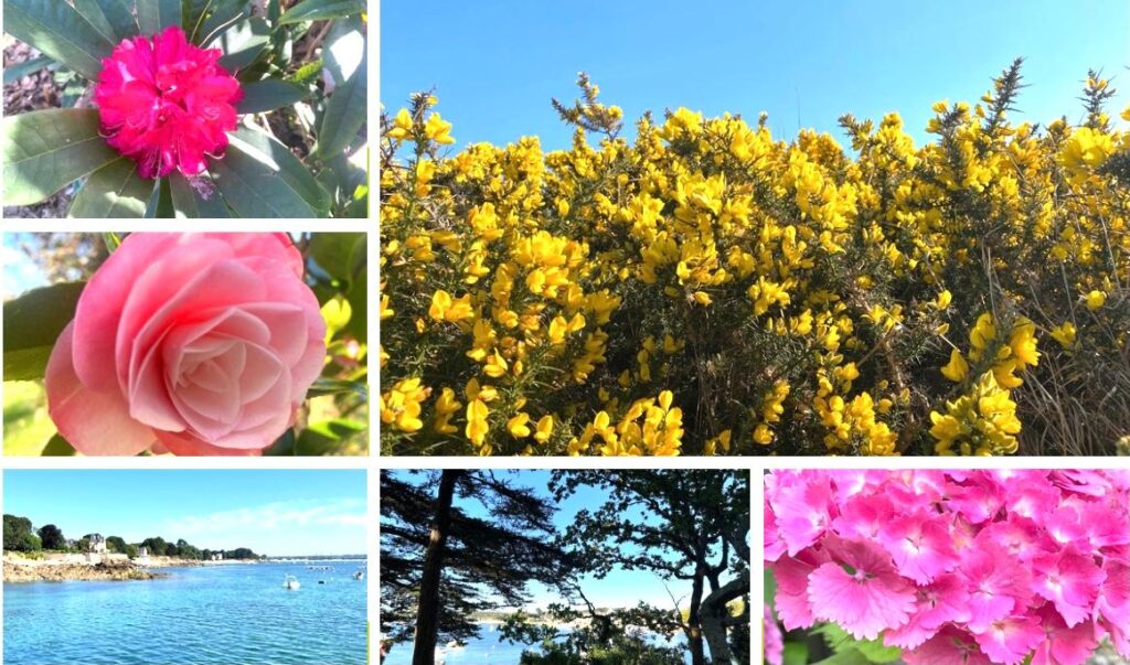 La nature en Bretagne à beg Meil
