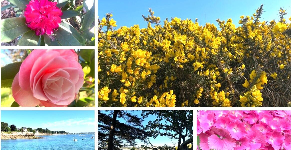 La nature en Bretagne à beg Meil