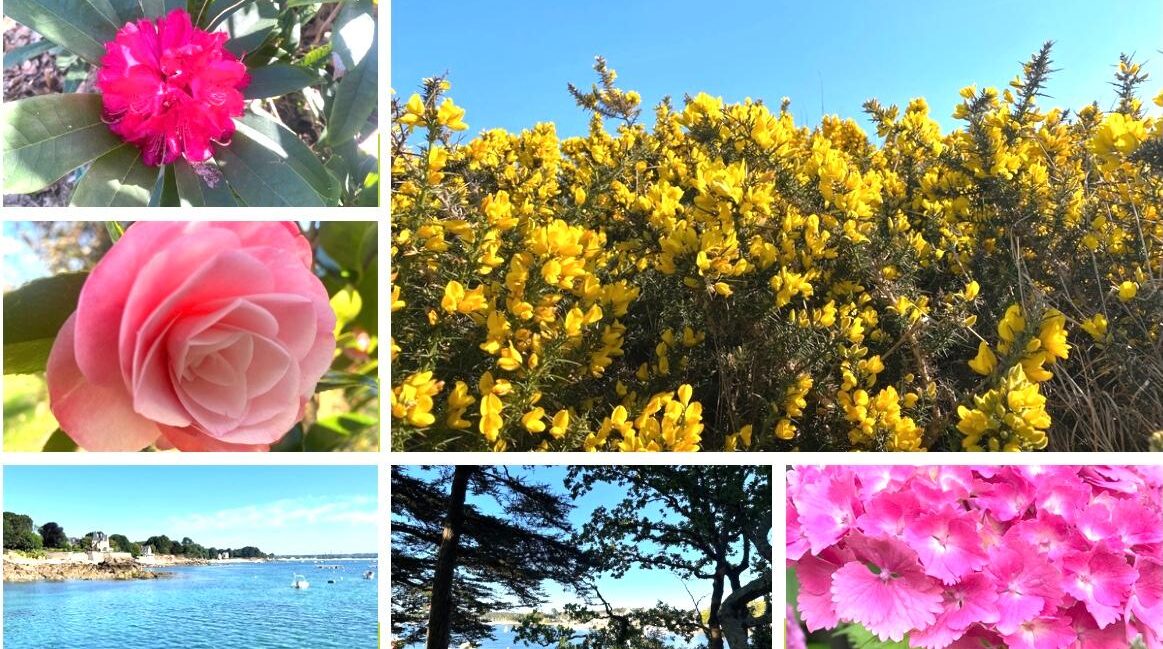 La nature en Bretagne à beg Meil