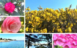 La nature en Bretagne à beg Meil