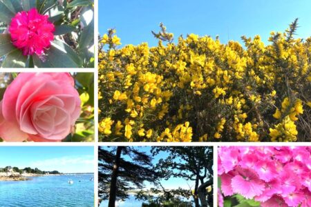 La nature en Bretagne à beg Meil