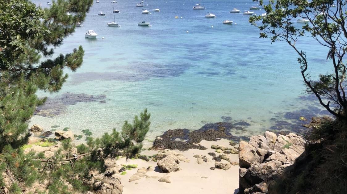 plage aux oiseaux beg meil